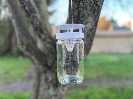 Piège à frelon asiatique Hornet EcoTrap